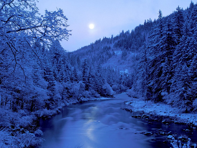 River snow trees full moon free wallpaper for desktop - medium preview image