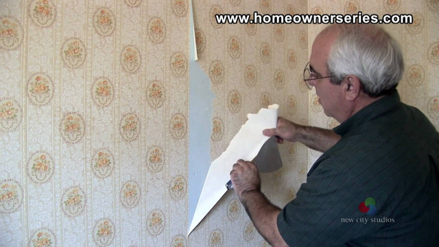 Man putting paper wallpapered wall free wallpaper for desktop - medium preview image