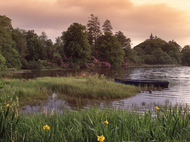 Boat shore lake grass flowers #2 free wallpaper for desktop - medium preview image