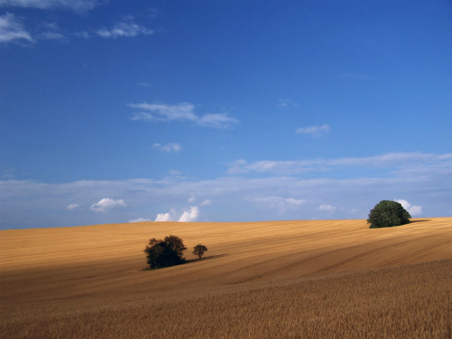 Field trees sky clouds mountains free wallpaper for desktop - medium preview image