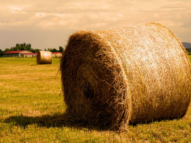 Hay bale field barn cloudy #4 free wallpaper for desktop - medium preview image