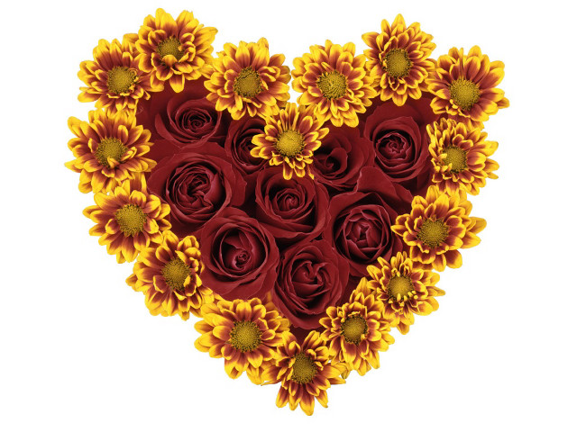 Heart sunflowers roses red yellow #2 free wallpaper for desktop - medium preview image