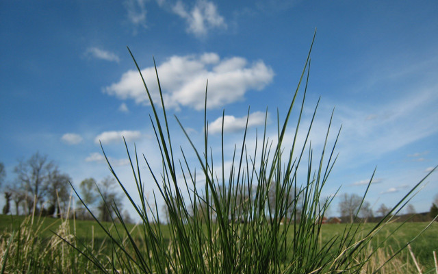 Grassy field blue sky clouds #3 free wallpaper for desktop - medium preview image