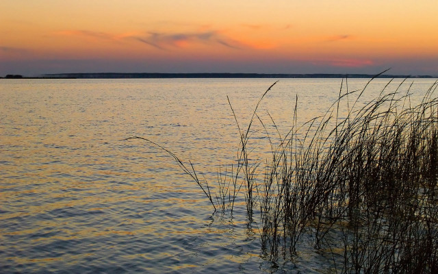 Water plants sunset clouds sky #4 free wallpaper for desktop - medium preview image