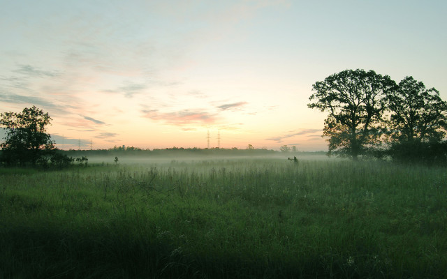 Field trees fog sunset dawn #3 free wallpaper for desktop - medium preview image