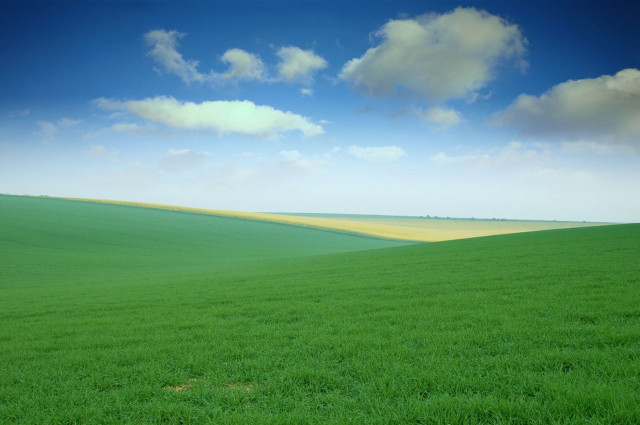 Green field blue sky clouds #54 free wallpaper for desktop - medium preview image