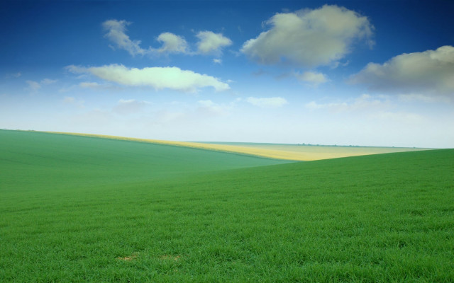 Green field blue sky clouds #56 free wallpaper for desktop - medium preview image