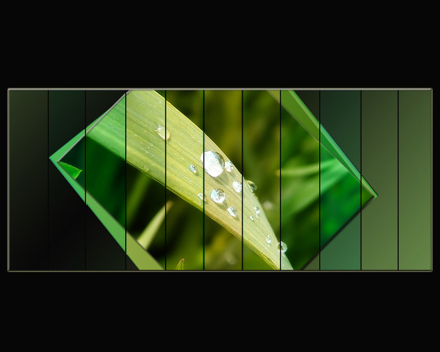 Green leaf water drops black #3 free wallpaper for desktop - medium preview image