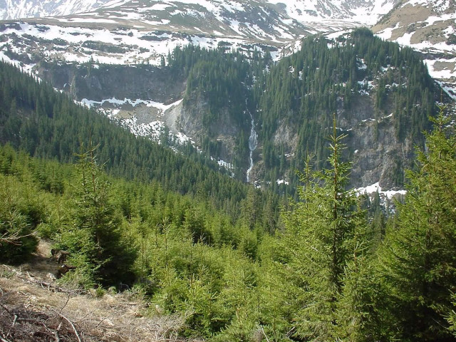 Snowy mountain trees trail distant free wallpaper for desktop - medium preview image