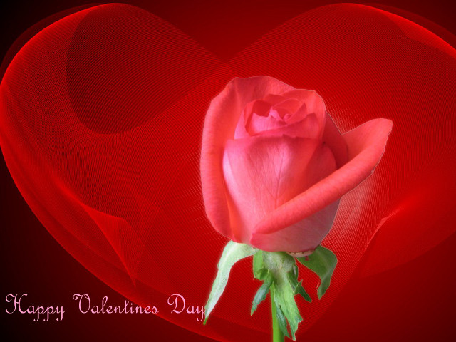 Red rose heart valentines romantic free wallpaper for desktop - medium preview image