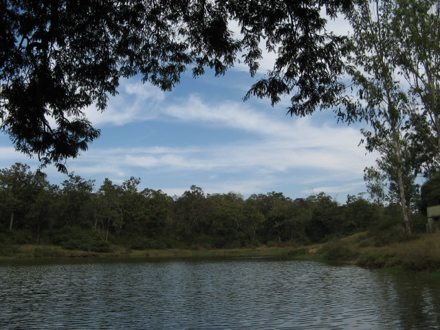 Lake boat trees sky clouds #4 free wallpaper for desktop - medium preview image