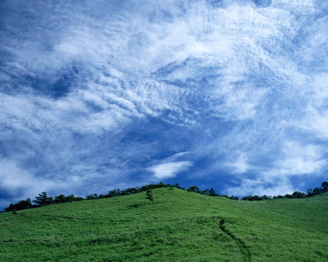 Green hill tree cloudy sky #3 free wallpaper for desktop - medium preview image