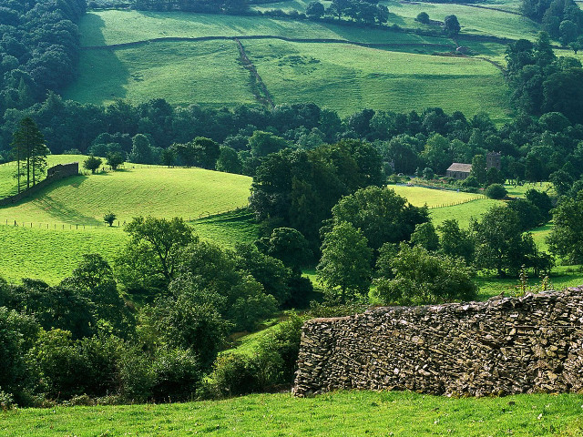 Green field stone wall trees #4 free wallpaper for desktop - medium preview image