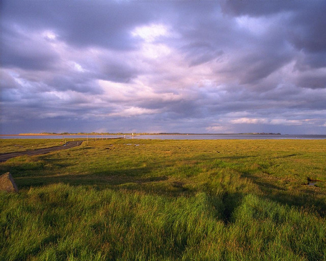 Field road cloudy sky background free wallpaper for desktop - medium preview image