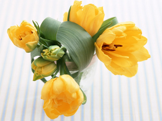 Vase yellow flowers striped tablecloth #4 free wallpaper for desktop - medium preview image