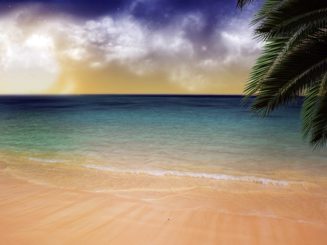 Beach palm tree blue ocean #5 free wallpaper for desktop - medium preview image