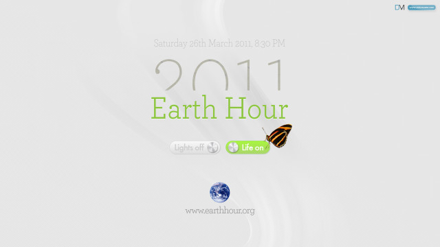 White background green black butterfly free wallpaper for desktop - medium preview image