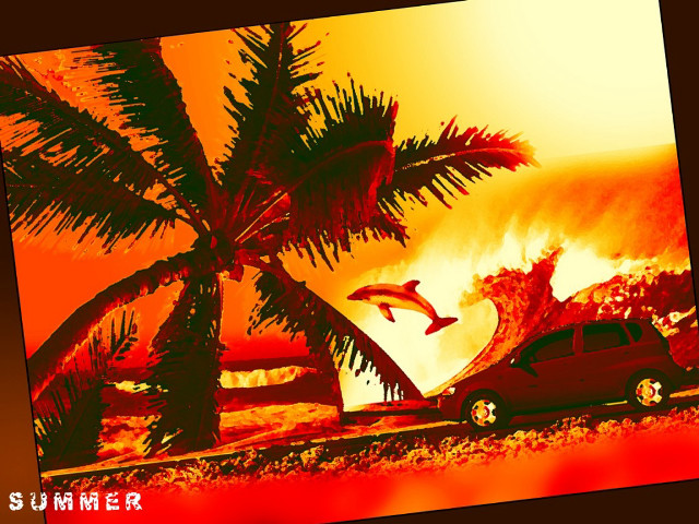 Car palm tree beach dolphin free wallpaper for desktop - medium preview image