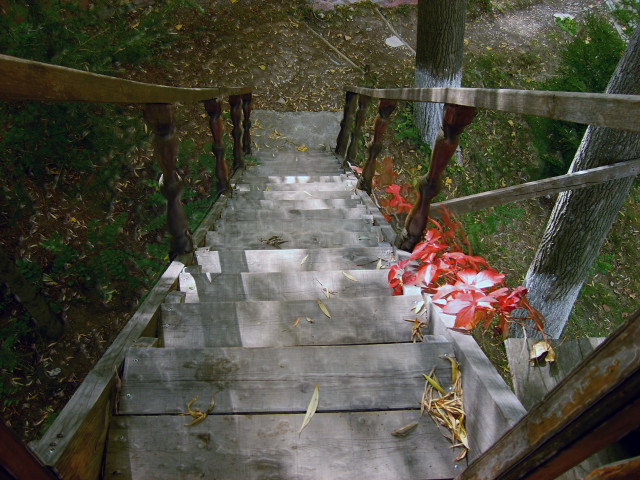 Wooden staircase red flower tree #5 free wallpaper for desktop - medium preview image
