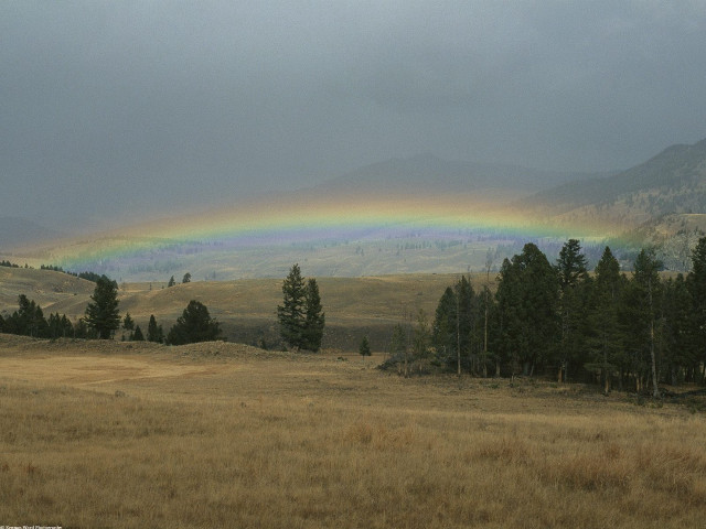 Rainbow field grass trees foreground free wallpaper for desktop - medium preview image