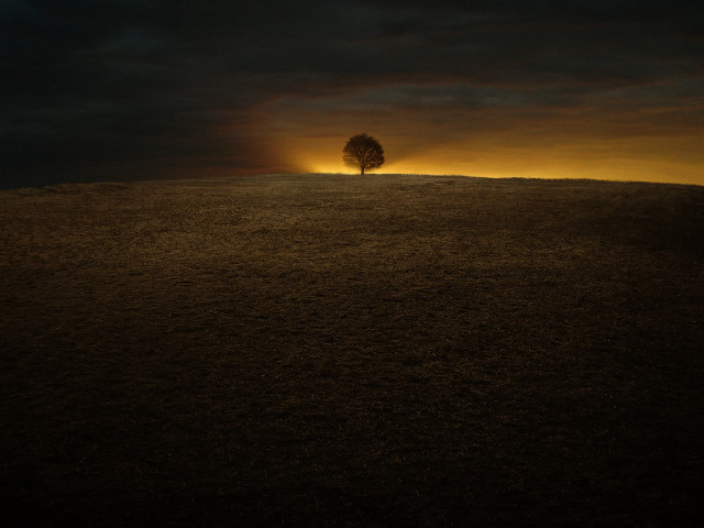 Lone tree hill sunset dark #2 free wallpaper for desktop - medium preview image