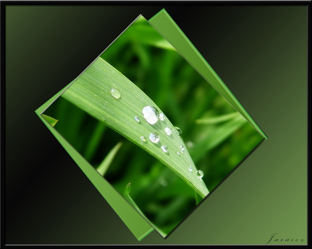 Green leaf water drops bokeh #10 free wallpaper for desktop - medium preview image