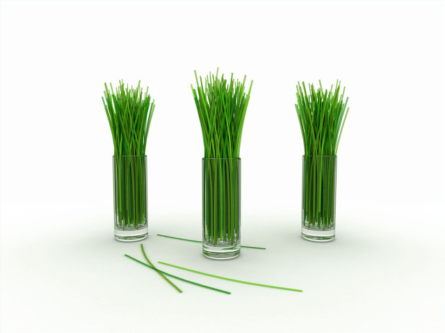 Three vases grass white surface #2 free wallpaper for desktop - medium preview image