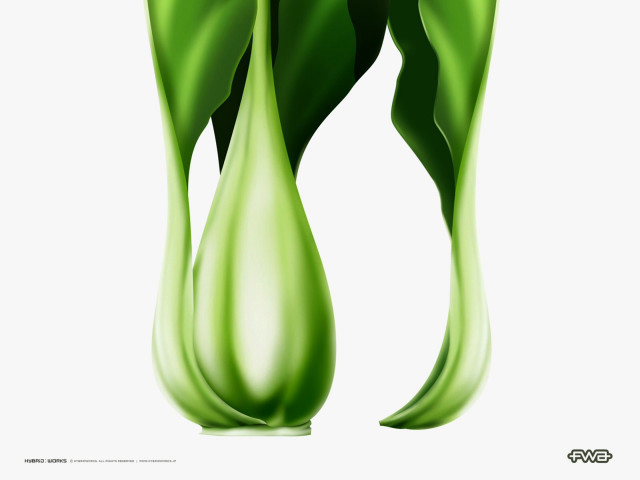 Green flower white background center #2 free wallpaper for desktop - medium preview image