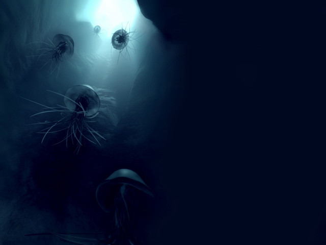 Jellyfish swimming dark ocean surface #3 free wallpaper for desktop - medium preview image
