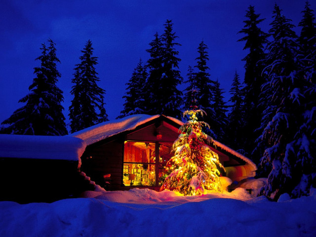 Lit christmas tree cabin snow #3 free wallpaper for desktop - medium preview image