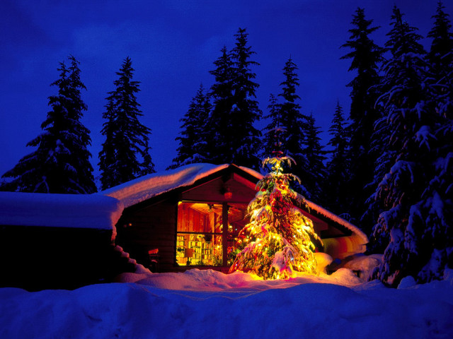 Christmas tree cabin snow night free wallpaper for desktop - medium preview image