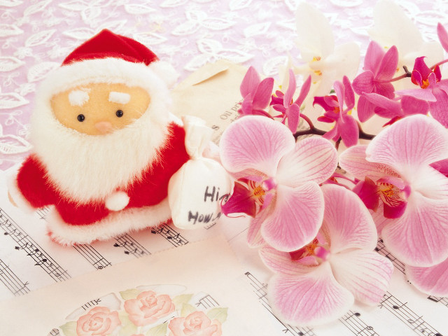 Stuffed santa flower music ornamental #2 free wallpaper for desktop - medium preview image