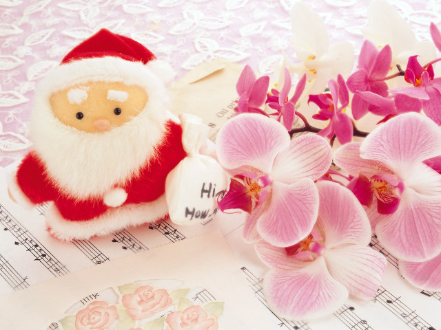 Stuffed santa flower music ornamental free wallpaper for desktop - medium preview image