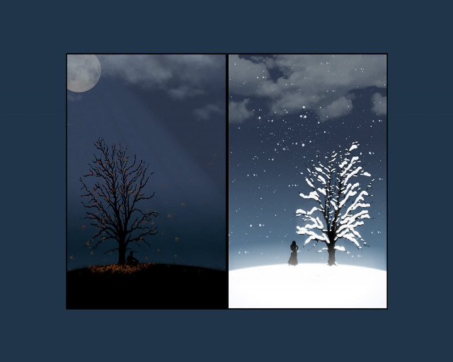 Tree person snow night man free wallpaper for desktop - medium preview image
