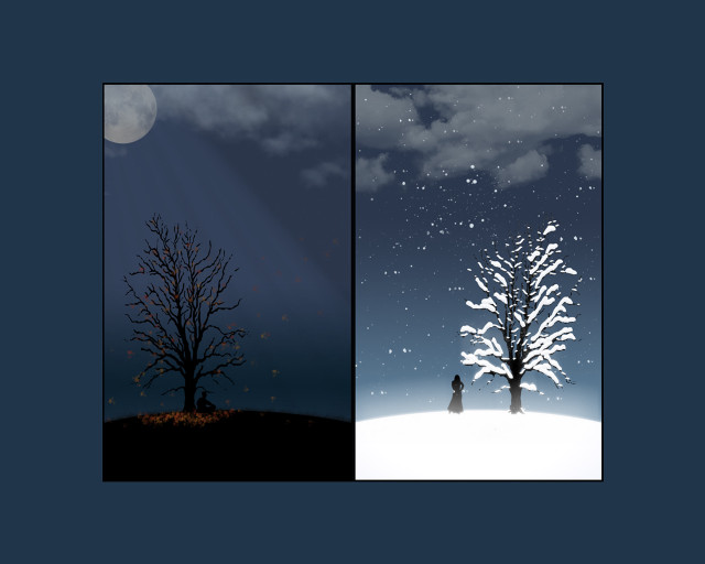 Tree person snow night man #3 free wallpaper for desktop - medium preview image