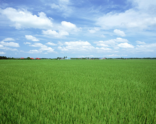Green field blue sky clouds #49 free wallpaper for desktop - medium preview image