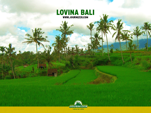 Lush green palm trees hut free wallpaper for desktop - medium preview image