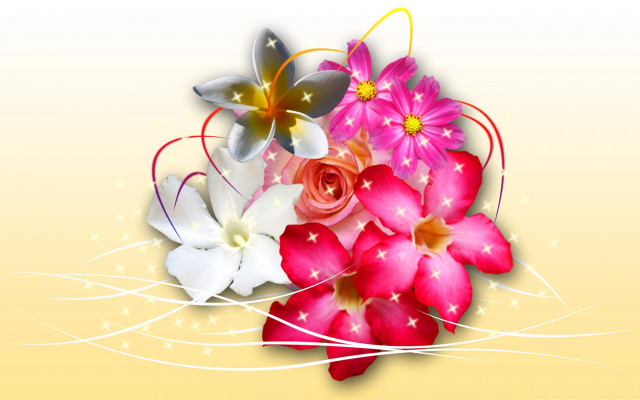 Bouquet butterfly yellow background swirls #2 free wallpaper for desktop - medium preview image