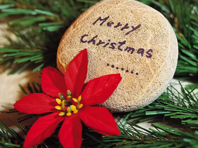 Rock red flower christmas message free wallpaper for desktop - medium preview image