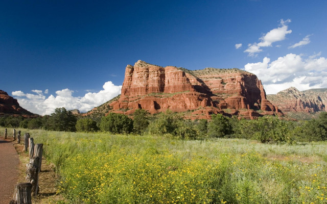 Mountain trail flowers field blue free wallpaper for desktop - medium preview image