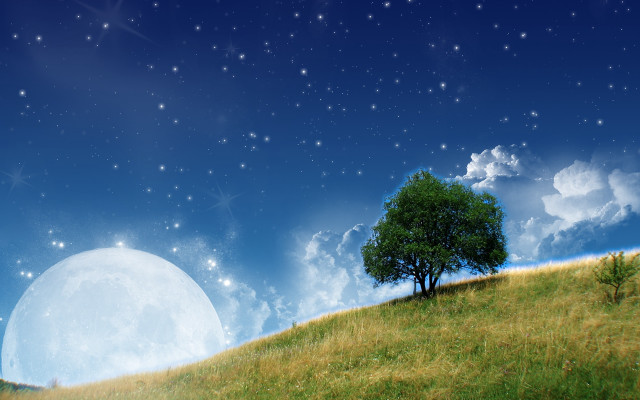 Tree hill full moon stars #4 free wallpaper for desktop - medium preview image