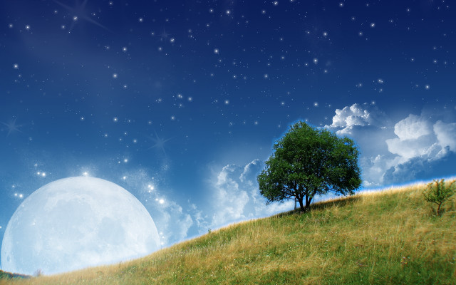 Tree hill full moon stars #6 free wallpaper for desktop - medium preview image