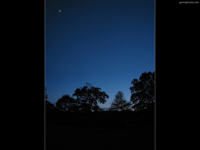 Dark sky trees moon clouds #3 free wallpaper for desktop - medium preview image