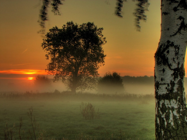 Foggy field tree sunset clouds #6 free wallpaper for desktop - medium preview image