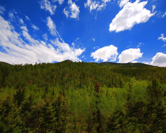 Forest mountain clouds sky nature free wallpaper for desktop - medium preview image