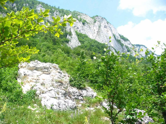 Mountain large rock trees bushes #3 free wallpaper for desktop - medium preview image