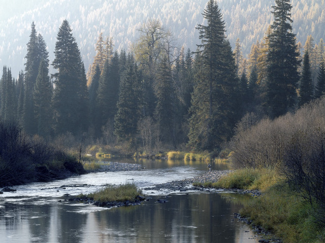 River forest foggy day people free wallpaper for desktop - medium preview image