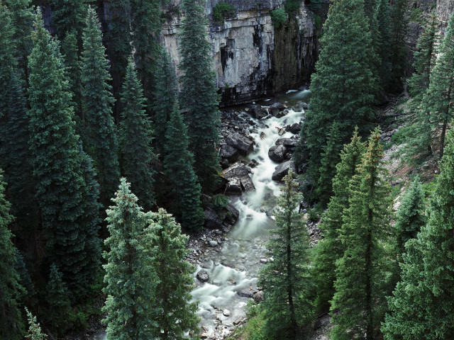 River forest trees rocks water #2 free wallpaper for desktop - medium preview image