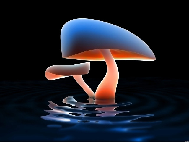 Blue orange mushroom floating water #3 free wallpaper for desktop - medium preview image
