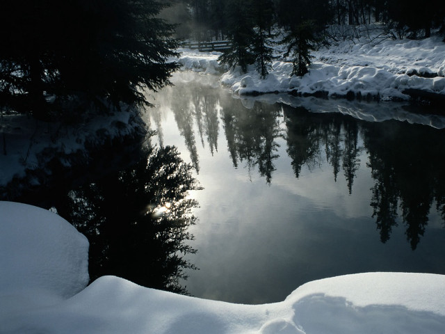 River snow trees forest sun free wallpaper for desktop - medium preview image